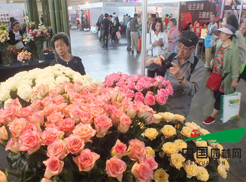 第十七屆昆明國際花卉展成功舉辦(圖5)