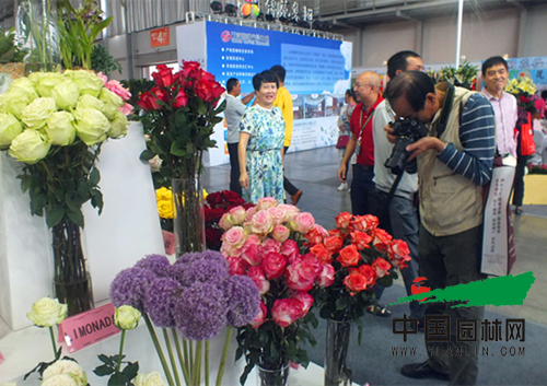 第十七屆昆明國際花卉展成功舉辦(圖6)