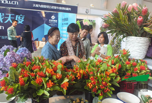 第十七屆昆明國際花卉展成功舉辦(圖4)